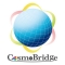 CosmoBridge Co., Ltd. CosmoBridge Co., Ltd.